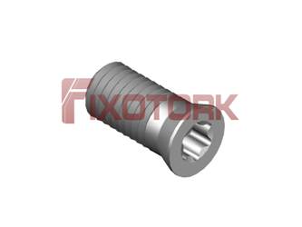 C 45011 PARAFUSO