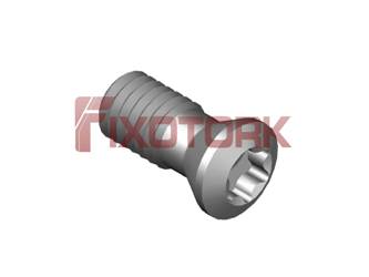 PARAFUSO TORX MOD E 30L72-E4309