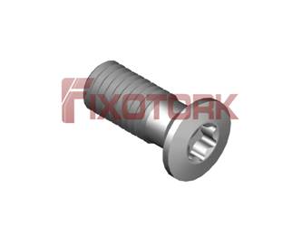 PARAFUSO TORX MOD G 50L13-G8020
