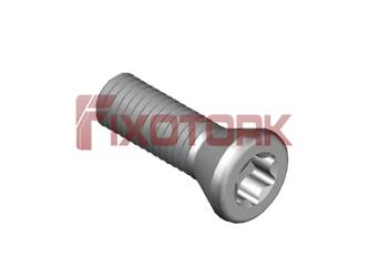 PARAFUSO TORX MOD W 1/8L10-W5515