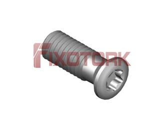 PARAFUSO TORX MOD H 50L14-H7020
