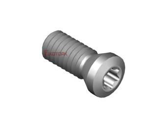 PARAFUSO TORX MOD A 25L65-A3407