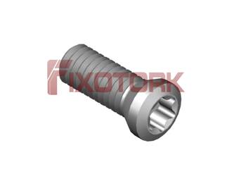 CO 2507 T08 PARAFUSO