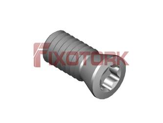 PARAFUSO TORX MOD E 25L55-E3307
