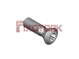 PARAFUSO TORX MOD E 40L11-E6915