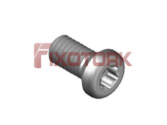TS 25D PARAFUSO