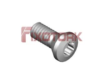5513.020-06 PARAFUSO