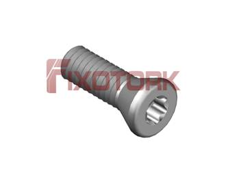 PARAFUSO TORX MOD W 1/8L10-W5510