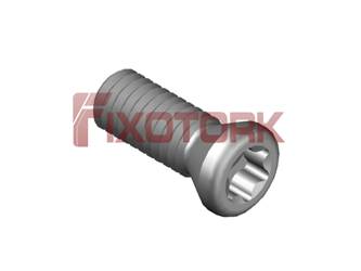 35L10-B5215/2 PARAFUSO