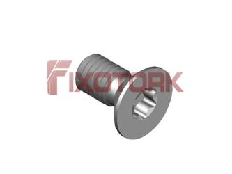 PARAFUSO TORX MOD W 1/8L60-W6110