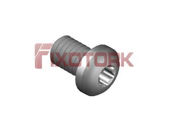 PARAFUSO M6 X 12 ABAULADO