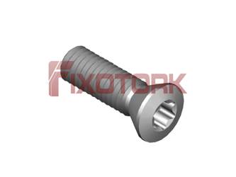 PARAFUSO TORX MOD B 45L15-B7320