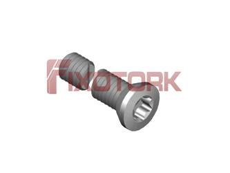 PARAFUSO TORX MOD K 30L26-K5010